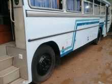 Ashok-Leyland Viking 2018 Bus