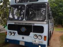 Ashok-Leyland Viking 2020 Bus
