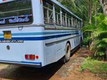 Ashok-Leyland Viking 2013 Bus