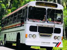 Ashok-Leyland Viking 2008 Bus