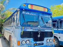 Ashok-Leyland Viking 2017 Bus