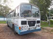 https://riyasewana.com/uploads/ashok-leyland-viking-ruby-2001-915505512403.jpg