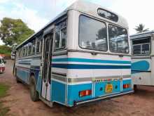 Ashok-Leyland Viking Ruby Body 2001 Bus