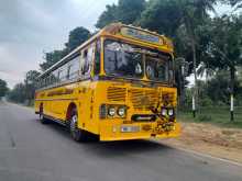 Ashok-Leyland Viking 2017 Bus