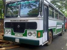 Ashok-Leyland Viking 2009 Bus