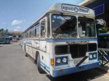 Ashok-Leyland Viking 2005 Bus