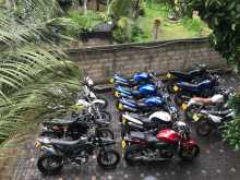 ATHER Hornet Jade Tracker Volty Wrx 2014 Motorbike
