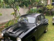 Austin A50 1954 Car