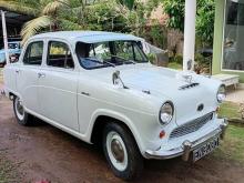 Austin A50 1980 Car