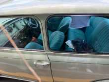 Austin Mini 1960 Car