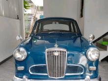Austin Wolseley 1980 Car