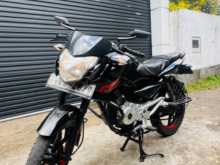 Bajaj Pulsar 135 2010 Motorbike