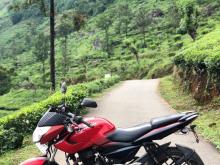 Bajaj Pulsar 135 2013 Motorbike