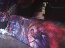 Photo 7