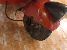Photo 7