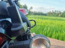 https://riyasewana.com/uploads/bajaj-avenger-274758186682.jpg