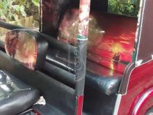 https://riyasewana.com/uploads/bajaj-baajaj-re-6120000418320.jpg