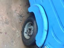 Photo 6