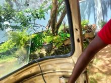 https://riyasewana.com/uploads/bajaj-bajaj-2-161121546436.jpg