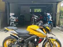 Bajaj Pulsar 2019 Motorbike