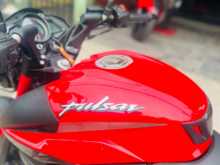 https://riyasewana.com/uploads/bajaj-bajaj-pulser-3022441613064.jpg