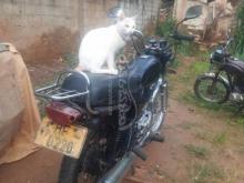 https://riyasewana.com/uploads/bajaj-boxer-2572921499267.jpg