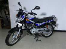Bajaj CT-100 2025 Motorbike