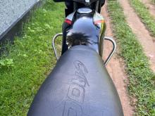 Photo 4