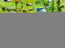 Bajaj CT-100 2011 Motorbike