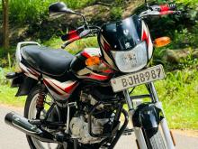Bajaj CT-100 2024 Motorbike