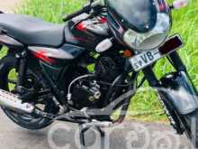 Bajaj Discovery 2010 Motorbike