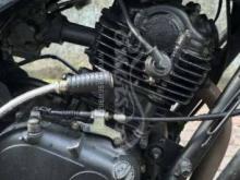 https://riyasewana.com/uploads/bajaj-discover-14172414655439.jpg