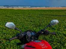 https://riyasewana.com/uploads/bajaj-ns200-1214014013203.jpg