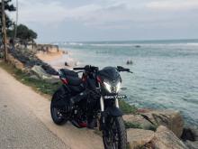 Bajaj Pulsar NS200 2025 Motorbike