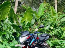 Bajaj Ns200 Bs4 2019 Motorbike