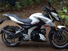 Bajaj Pulsar 2025 Motorbike