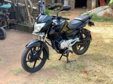 Bajaj Pulsar 2013 Motorbike