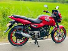 Bajaj Pulsar 2009 Motorbike