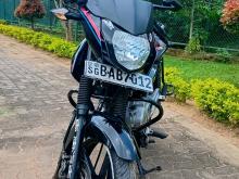 Bajaj Pulsar 135 2013 Motorbike