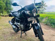 Bajaj Pulsar 135 2013 Motorbike