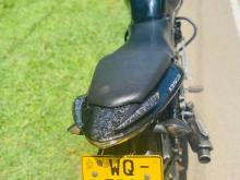 https://riyasewana.com/uploads/bajaj-pulsar-135-172052366445.jpg