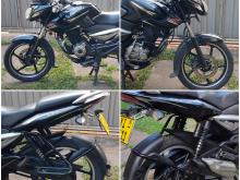 https://riyasewana.com/uploads/bajaj-pulsar-135-2119305119426.jpg