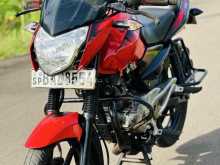 https://riyasewana.com/uploads/bajaj-pulsar-135-2316494122202.jpg