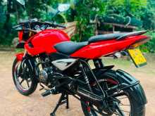 Bajaj Pulsar 135 2011 Motorbike