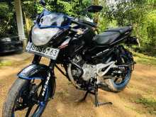 https://riyasewana.com/uploads/bajaj-pulsar-135-268153422213.jpg