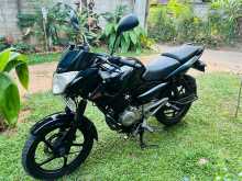 https://riyasewana.com/uploads/bajaj-pulsar-135-2811253413763.jpg