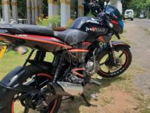 https://riyasewana.com/uploads/bajaj-pulsar-135-2950361315363.jpg