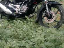 Bajaj Pulsar 135 2012 Motorbike