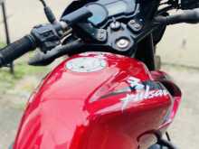 https://riyasewana.com/uploads/bajaj-pulsar-135-420354622953.jpg