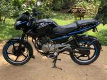 https://riyasewana.com/uploads/bajaj-pulsar-135-513192422403.jpg